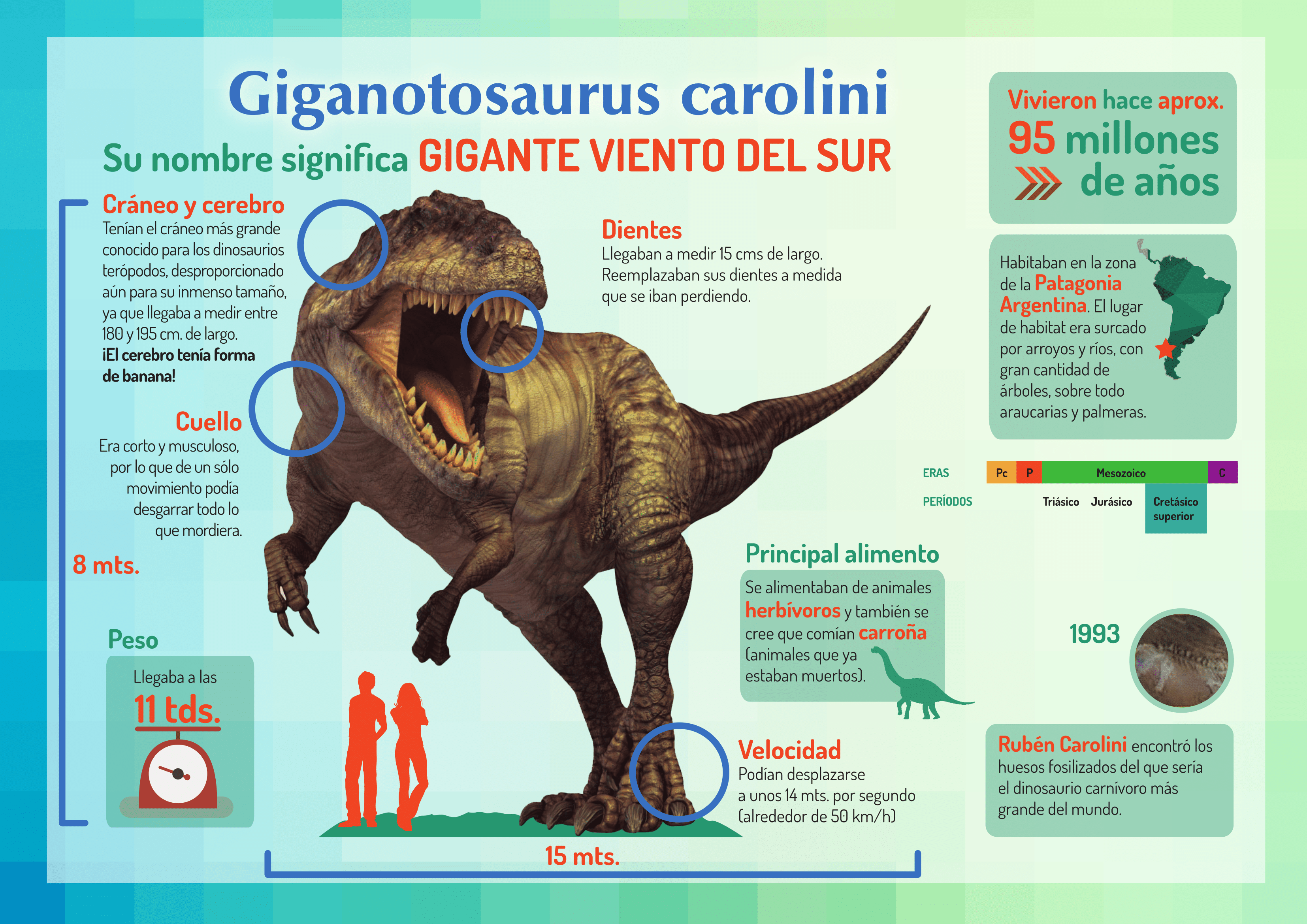 Giganotosaurus carolini