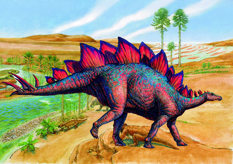 Stegosaurus regium